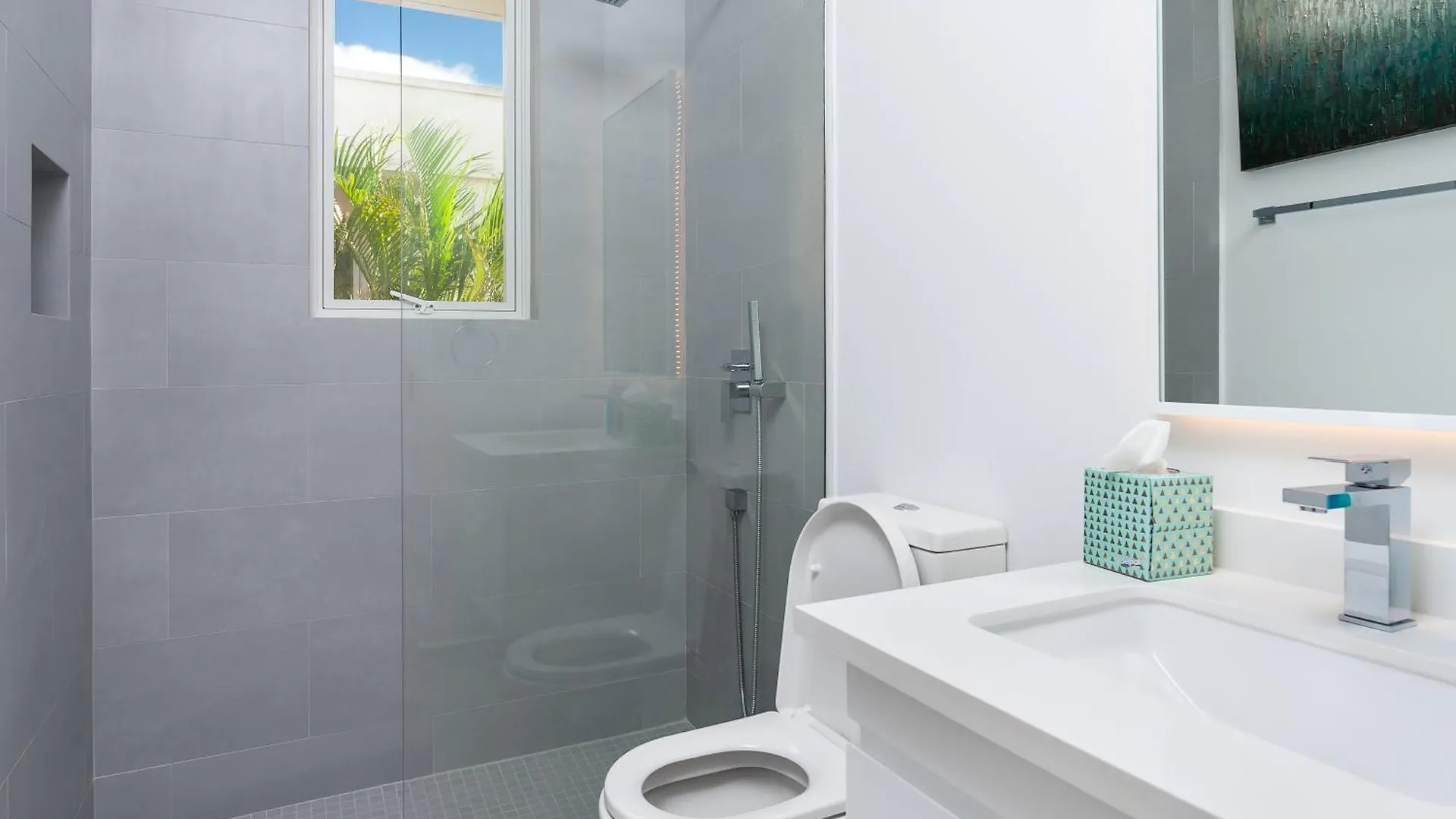 West Coast 2 Bed Sea View Westmoreland Hills Villa Saint James
